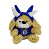 Chelsea Dog With Spike Hat