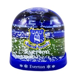 Everton Stadium Snow Dome