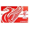 Liverpool Horizon Flag