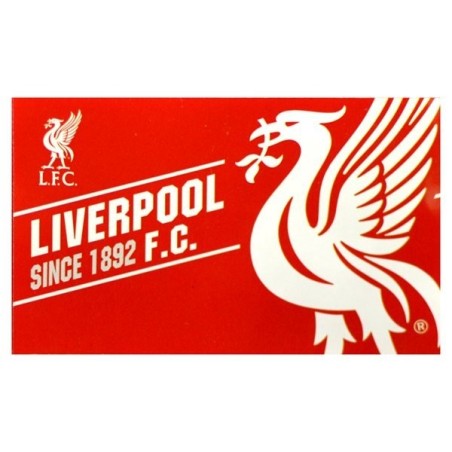 Liverpool Established Flag