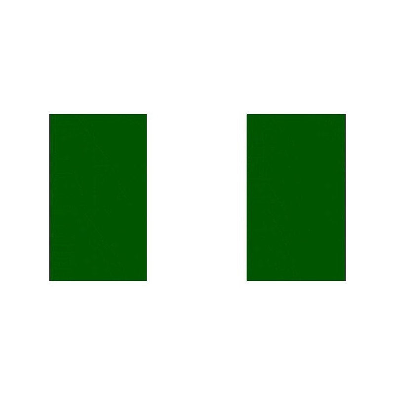 Nigeria National Flag