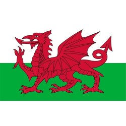 Welsh Dragon National Flag