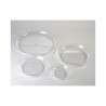 Qualatex Clear Lomey Dish - 11 Inch
