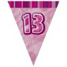 Unique Party Pink Pennant Bunting - 13