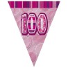 Unique Party Pink Pennant Bunting - 100