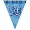 Unique Party Blue Pennant Bunting - 30