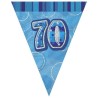 Unique Party Blue Pennant Bunting - 70