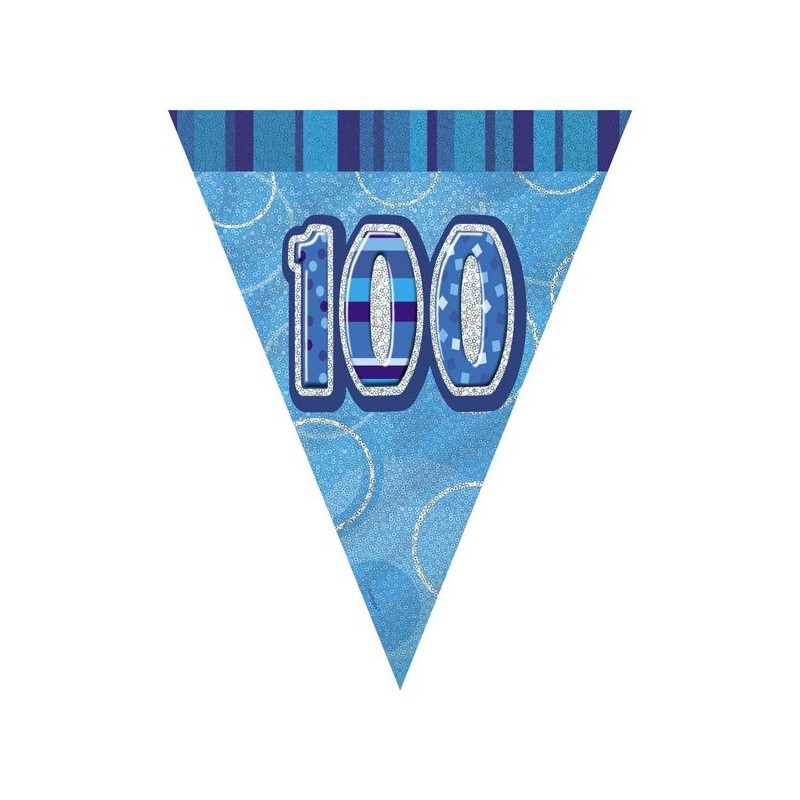 Unique Party Blue Pennant Bunting - 100
