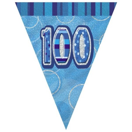 Unique Party Blue Pennant Bunting - 100