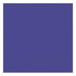Amscan 2 Ply Lunch Napkins - Purple