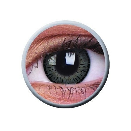 Elegance Grey Coloured Contact Lenses
