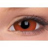 Daredevil Mini Sclera Coloured Contact Lenses (1 Year)