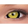 Tigera Yellow Black 17mm Mini Sclera Coloured Contact Lenses (1 Year)