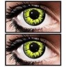 Yellow Wolf Coloured Contact Lenses