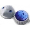 Funky Dolphin 3D Contact Lens Storage Case