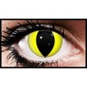 Yellow Cat Crazy Coloured Contact Lenses (90 Days)
