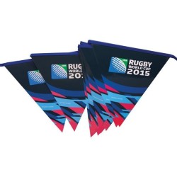 Rugby World Cup PE 5m Bunting  (8 Flags)