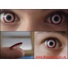 Black Red White Minotaur Mini Sclera Coloured Contact Lenses (1 Year)