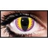 Purple Hawk Crazy Coloured Contact Lenses (90 days)