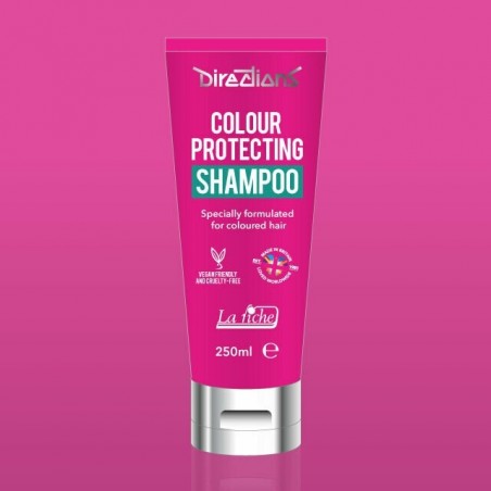 Directions Hair Colour Protecting Shampoo