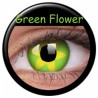 Green And Yellow Flower Funky Coloured Contact Lenses (1 Year Wear)
