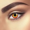 Wild Fire Red Yellow Crazy Halloween Coloured Contact Lenses