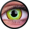 Yellow Plague Crazy Colour Contact Lenses (90 Day Wear)