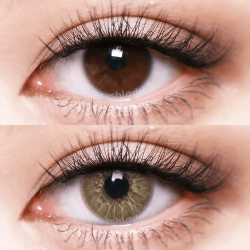 FreshLady Love Story PEA Brown Coloured Contact Lenses Yearly