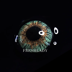 FreshLady Three Tone Green Coloured Contact Lenses Yearly
