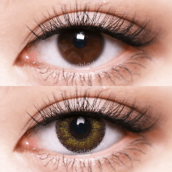 FreshLady Three Tone Brown Coloured Contact Lenses Yearly