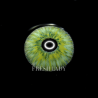 FreshLady Rare Iris Green Coloured Contact Lenses Yearly