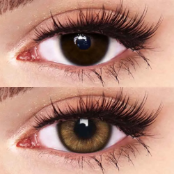 FreshLady Dolly Raquelle Brown Coloured Contact Lenses Yearly