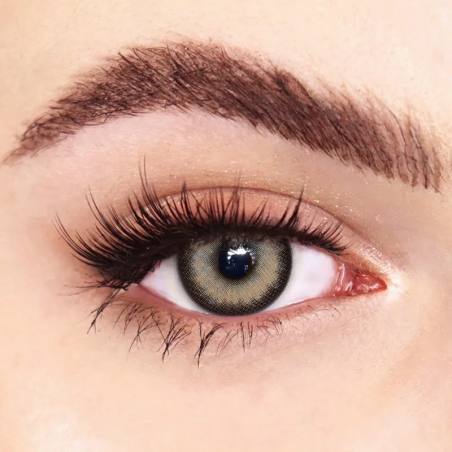 FreshLady Nutcracker Brown Coloured Contact Lenses Yearly