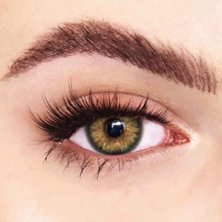 FreshLady Venus Brown Coloured Contact Lenses Yearly