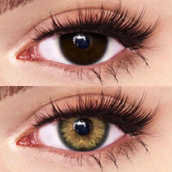 FreshLady Venus Brown Coloured Contact Lenses Yearly