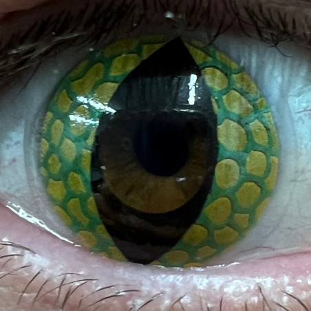Green & Yellow Reptile Lizard Snake Dragon Eye Crazy Halloween Contact Lenses (90 Day Wear)