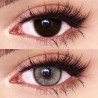 FreshLady Apex Grey Coloured Contact Lenses Yearly
