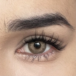 FreshLady Whisper Forest Brown Coloured Contact Lenses Yearly FreshLady - 1