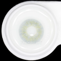 FreshLady Sun Kissed Bella Grey Green Coloured Contact Lenses Yearly FreshLady - 2