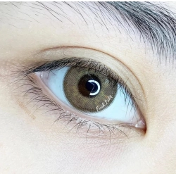 FreshLady Maria Brown Coloured Contact Lenses Yearly FreshLady - 1