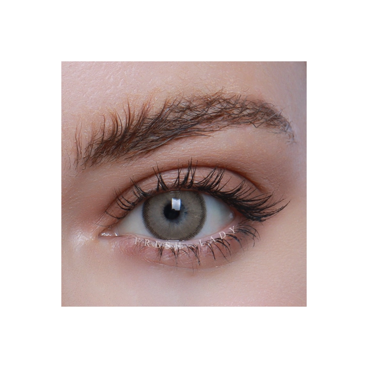 FreshLady Cortado Grey Beige Coloured Contact Lenses Yearly FreshLady - 1