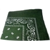 Murky Green Paisley Bandana Head Scarf  - 1