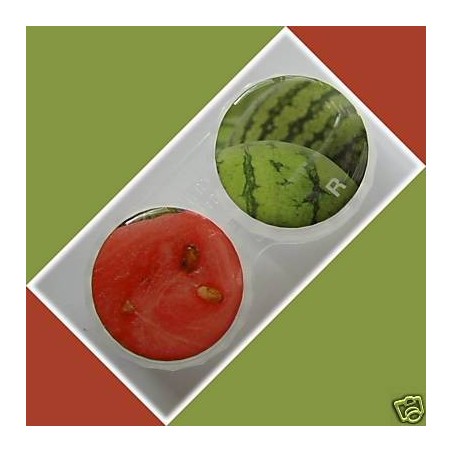 Watermelon Summer Fruits Contact Lens Holder For Lenses