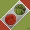 Watermelon Summer Fruits Contact Lens Holder For Lenses