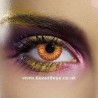 EDIT Crazy Wolf Eye Red And Yellow Halloween Contact Lenses