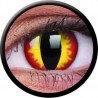 ColourVUE 1 Day Use Dragon Eyes Red Yellow Halloween Coloured Contact Lenses