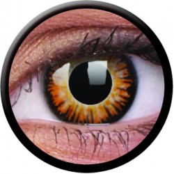 ColourVUE 1 Day Use Twilight Brown Crazy Halloween Coloured Contact Lenses