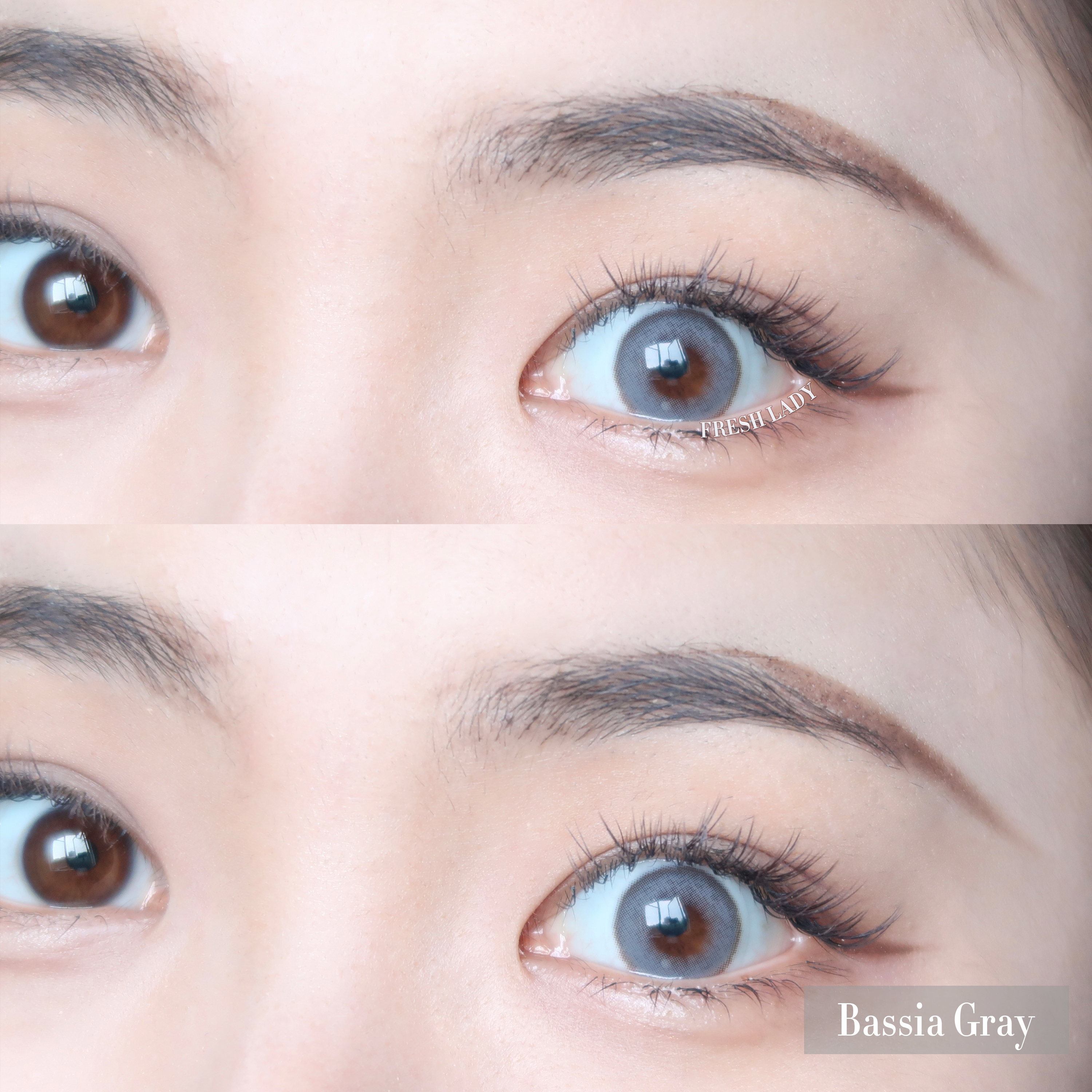 bassia coloured contact lenses by freshlady